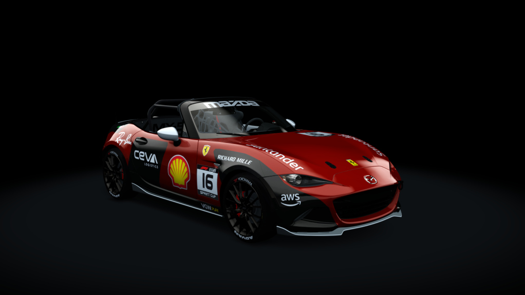Car Skin