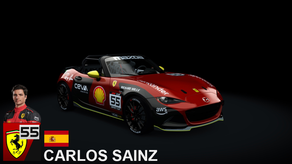 Car Skin