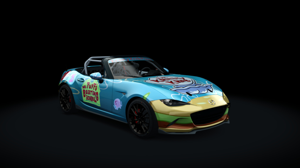 Car Skin