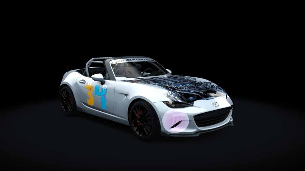 Car Skin