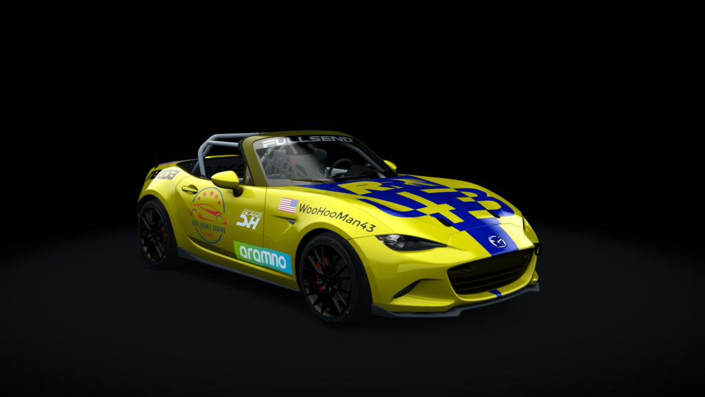 Car Skin