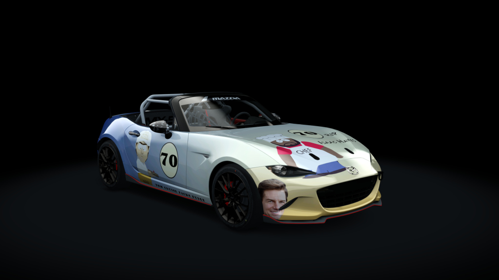 Car Skin