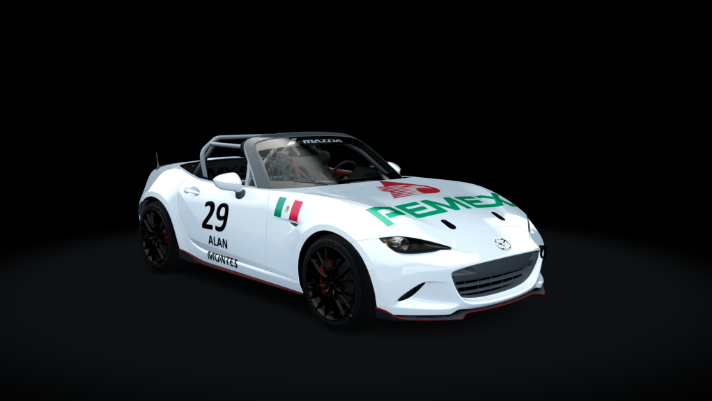 Car Skin