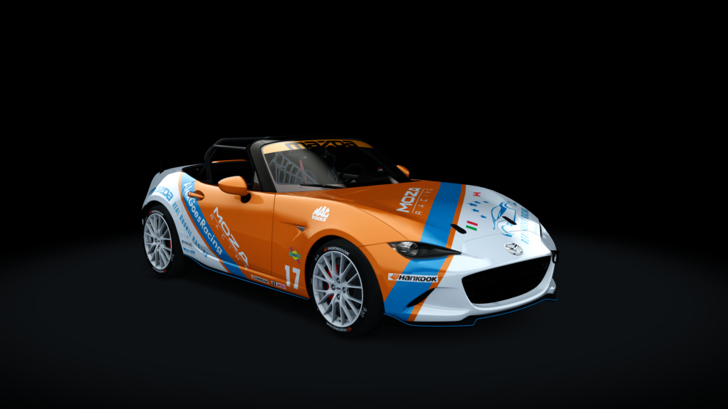Car Skin