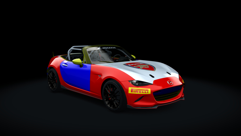 Car Skin