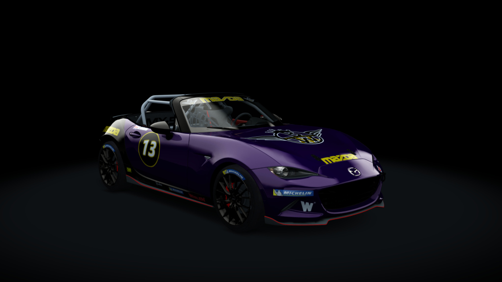 Car Skin