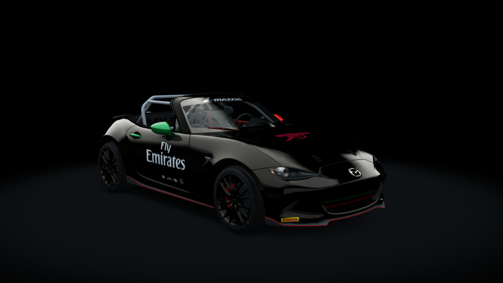 Car Skin