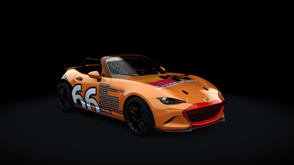 Car Skin