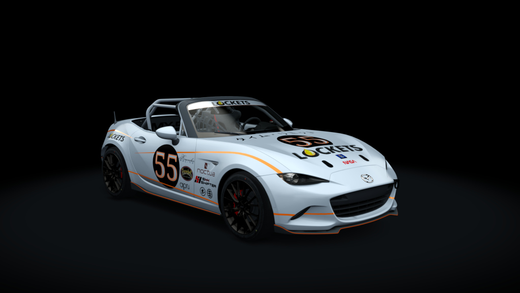 Car Skin