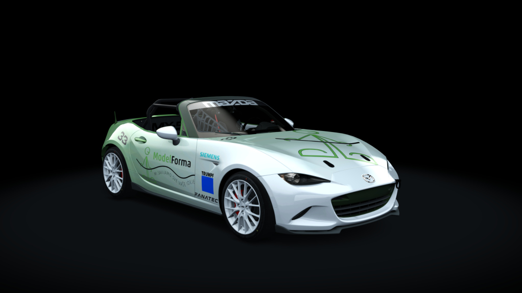 Car Skin