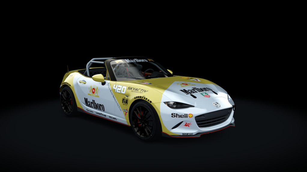 Car Skin
