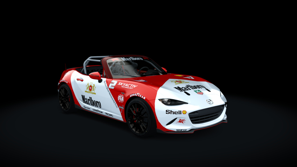 Car Skin