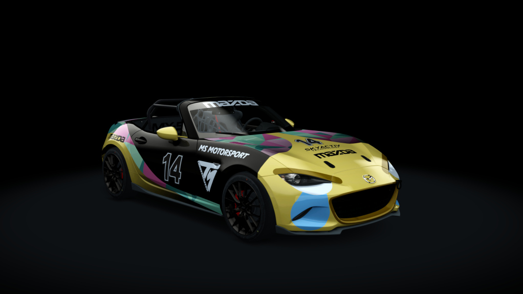 Car Skin