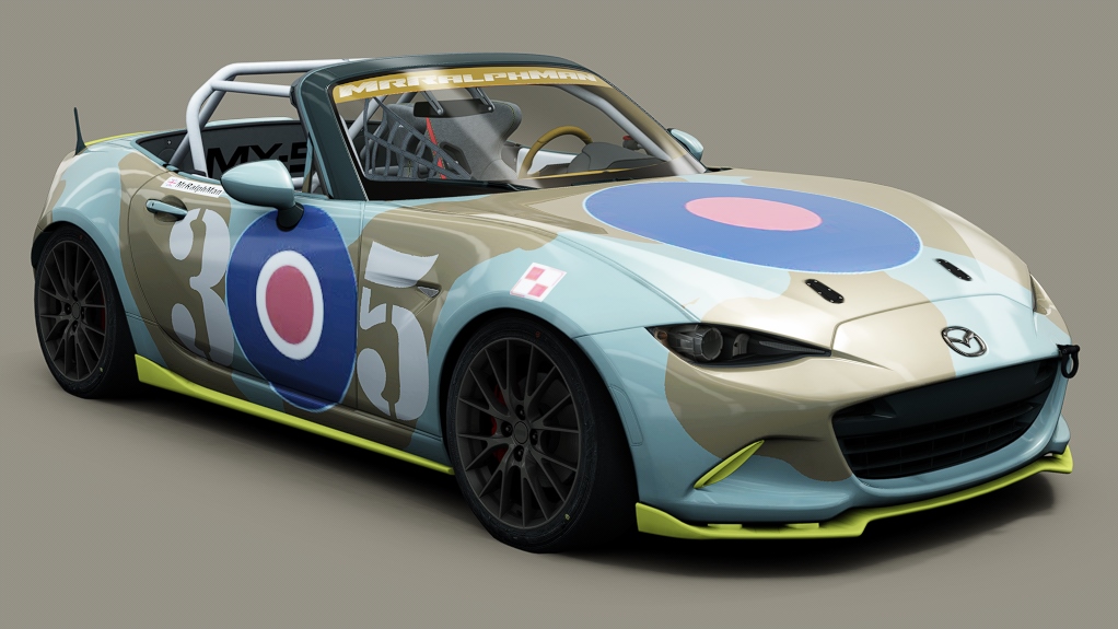 Car Skin