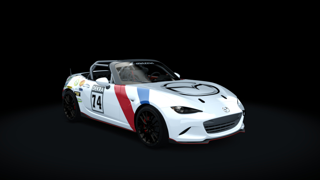 Car Skin