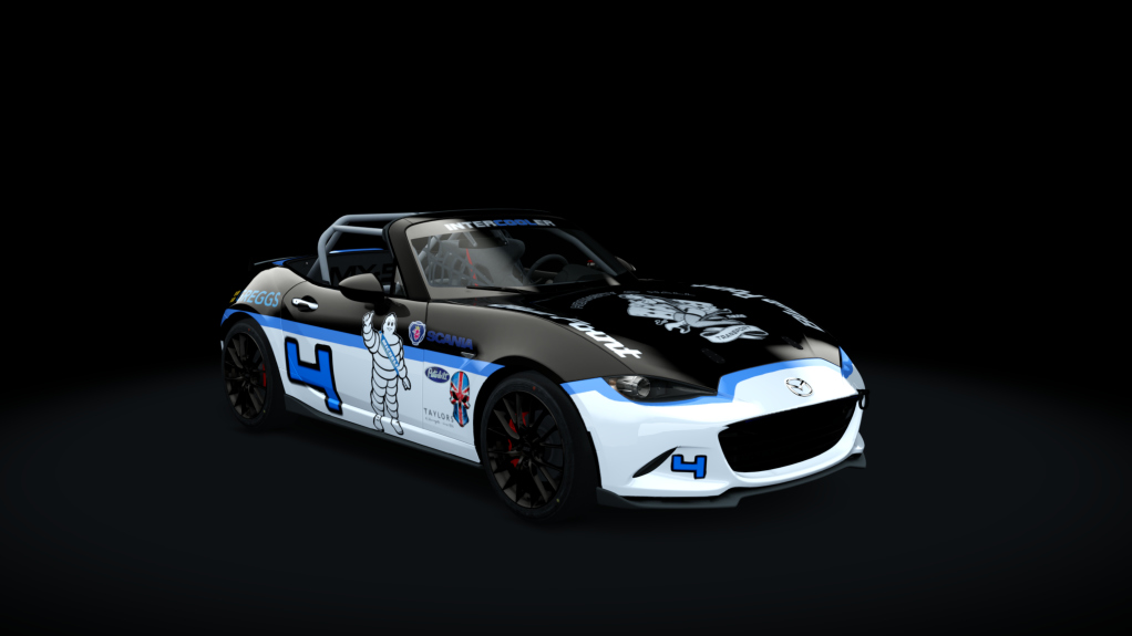 Car Skin
