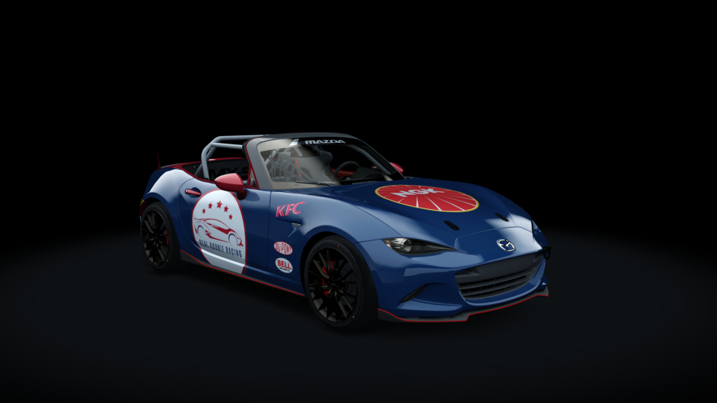 Car Skin