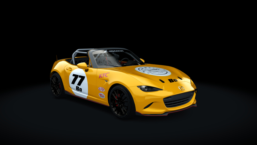 Car Skin