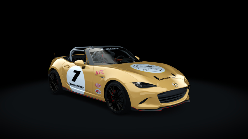 Car Skin
