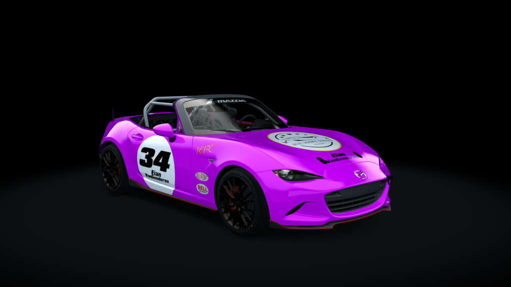 Car Skin
