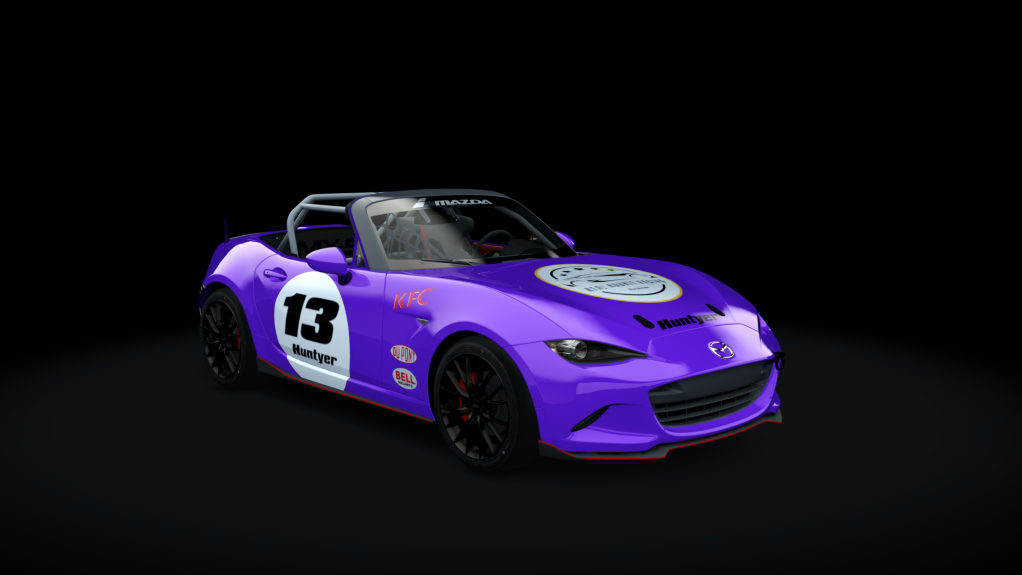 Car Skin