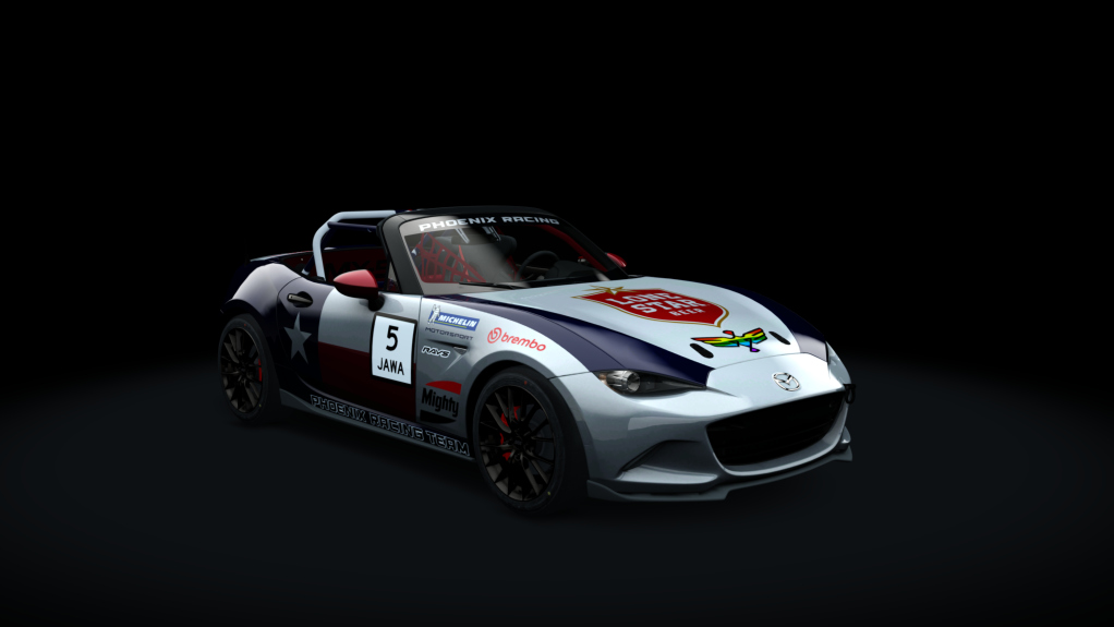 Car Skin
