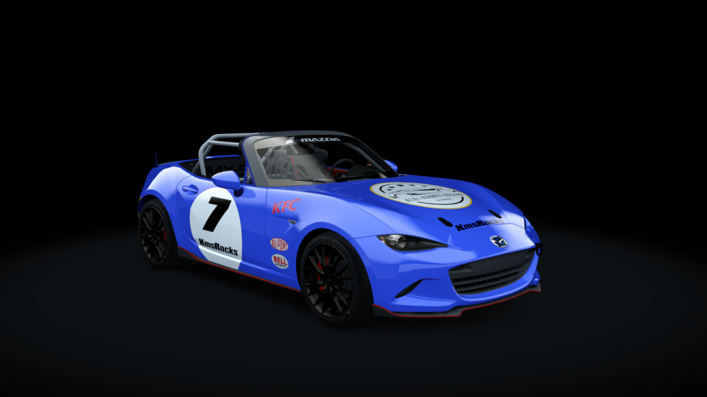 Car Skin