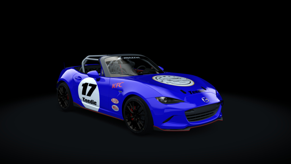 Car Skin