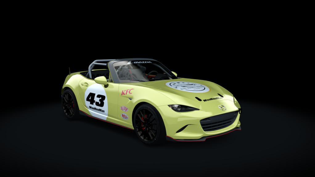 Car Skin