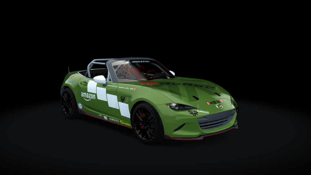 Car Skin
