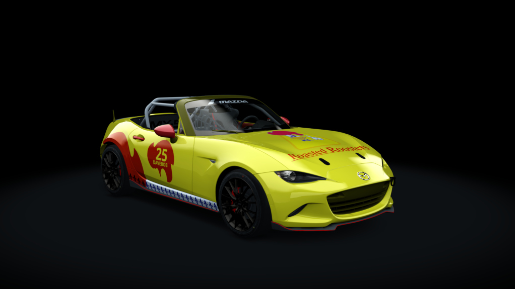 Car Skin