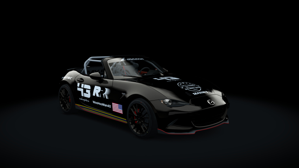 Car Skin