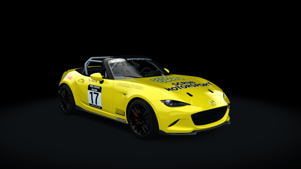 Car Skin