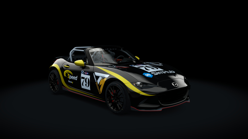 Car Skin